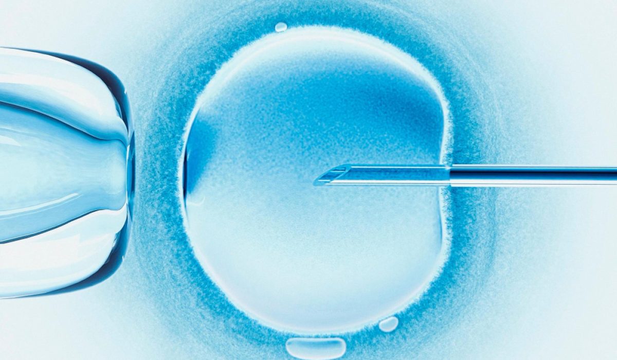 EN-B-OBGYN-CN2301-V48_20251029_113944_v1