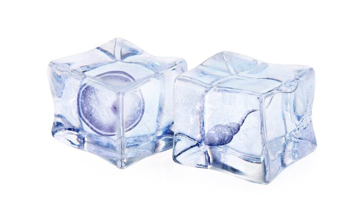 EN-B-OBGYN-CN2301-V55_20251029_153558_v1